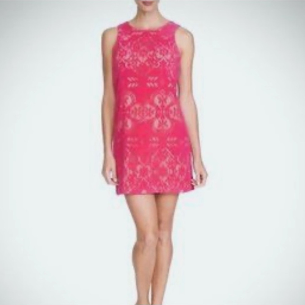 Cynthia Steffe Dancing Rose laser cut overlay Dress NWT